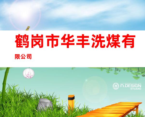 鹤岗市华丰洗煤有限公司